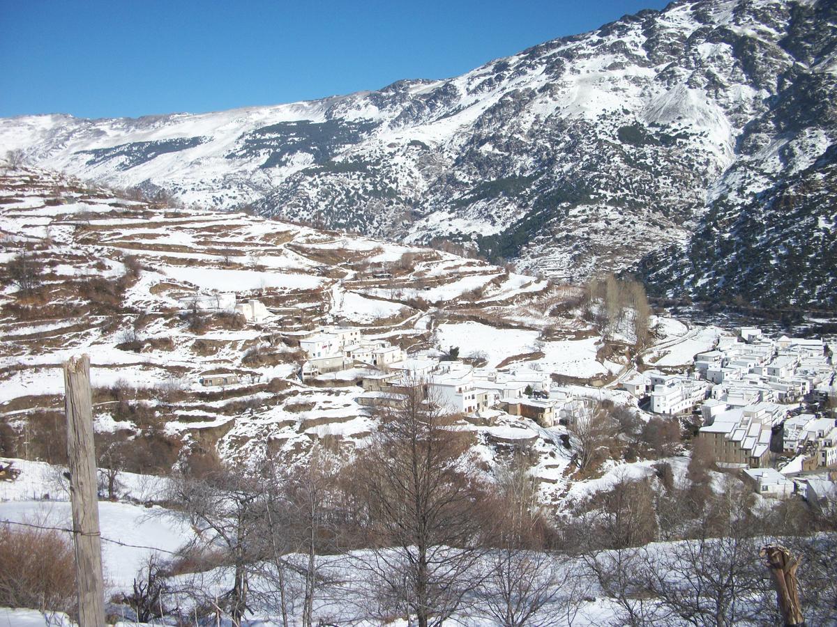 Bed and Breakfast Refugio Alpujarra Alta Тревелес Экстерьер фото