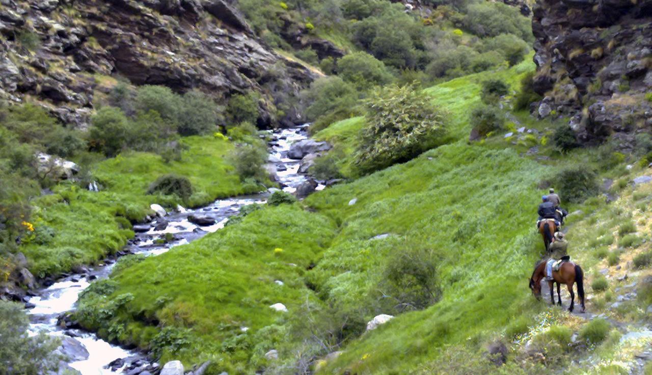Bed and Breakfast Refugio Alpujarra Alta Тревелес Экстерьер фото