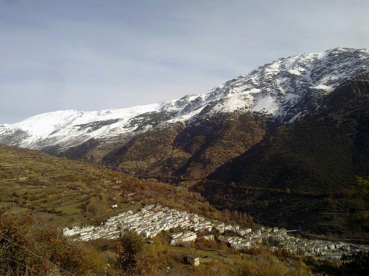 Bed and Breakfast Refugio Alpujarra Alta Тревелес Экстерьер фото