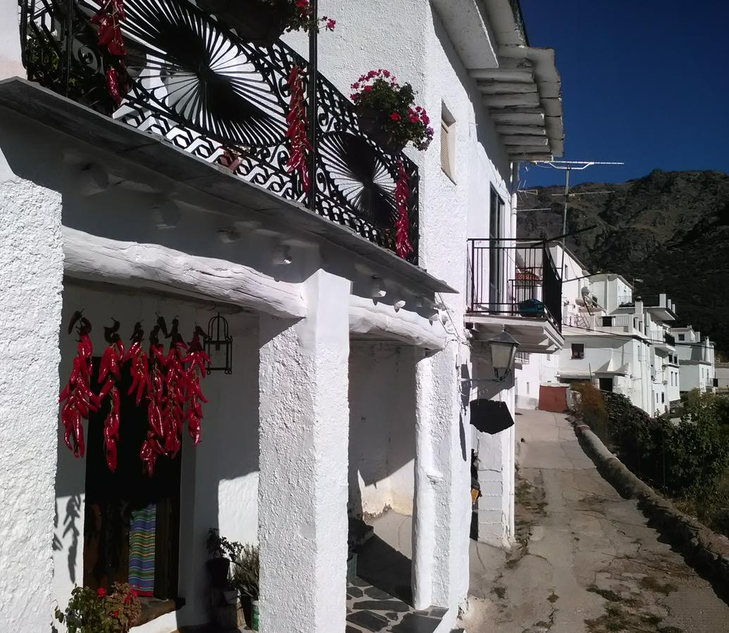 Bed and Breakfast Refugio Alpujarra Alta Тревелес Экстерьер фото
