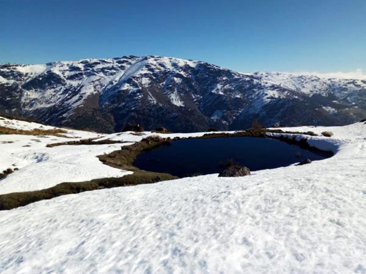 Bed and Breakfast Refugio Alpujarra Alta Тревелес Экстерьер фото